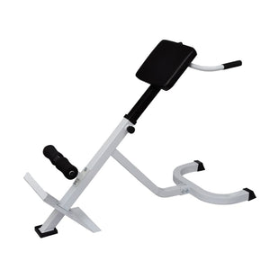 Adjustable Back Extension Bench for Safe and Effective Core Workouts